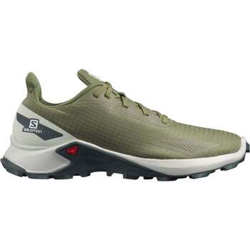 Chaussures Homme Running / trail Salomon waterproof ALPHACROSS BLAST Vert