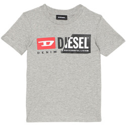 Vêtements Enfant T-shirts manches courtes Diesel 00K28N-00YI9 Gris