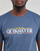 Vêtements Homme T-shirts manches courtes Quiksilver GRADIENT LINE SS Bleu