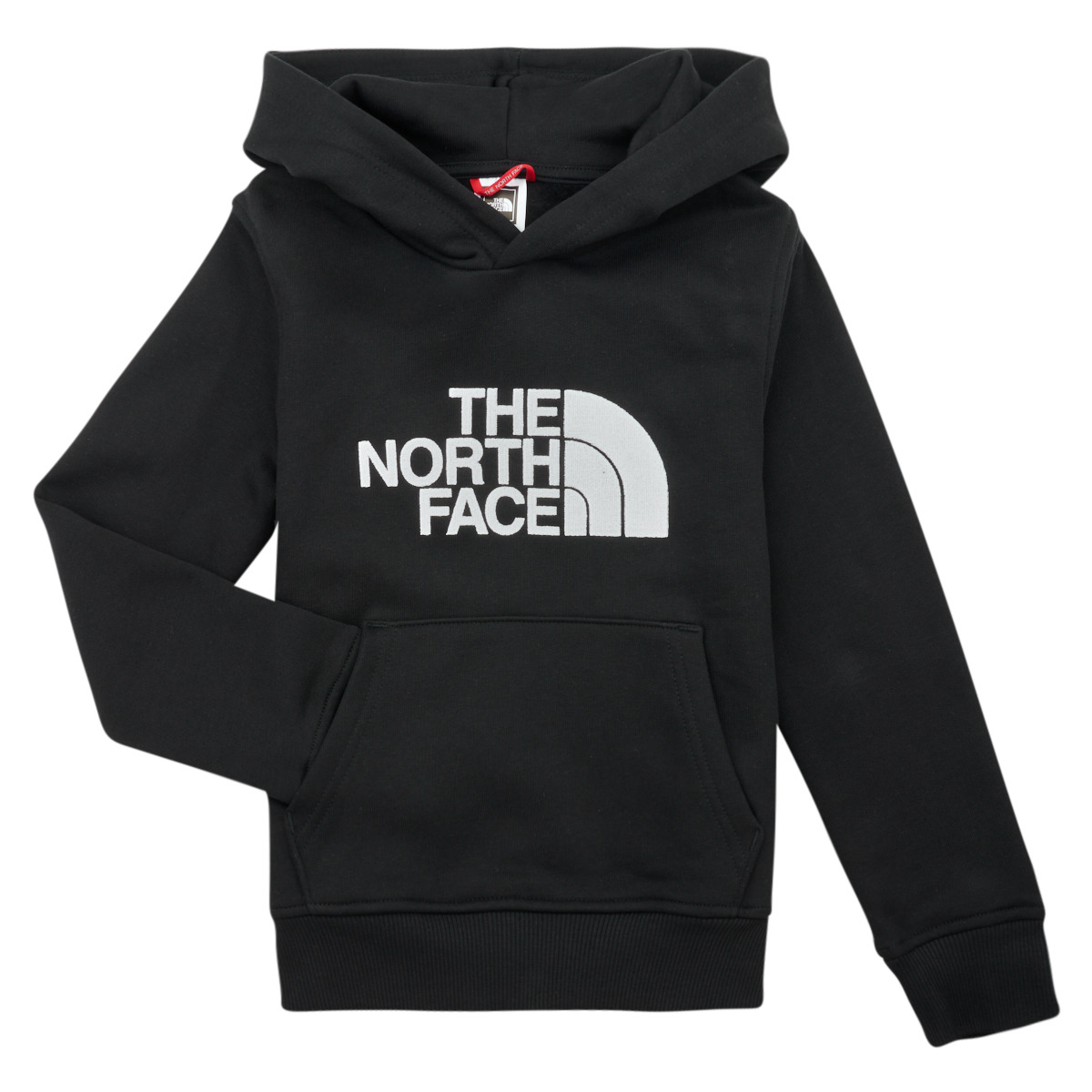 Vêtements Garçon Sweats The North Face BOYS DREW PEAK P/O HOODIE colour-blocked Noir