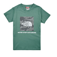 Vêtements Garçon T-shirts manches courtes The North Face BOYS S/S REDBOX TEE Vert