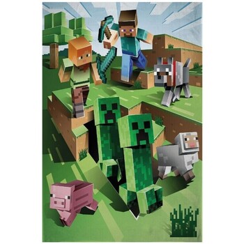 Maison & Déco Couvertures Minecraft AG2273 Vert