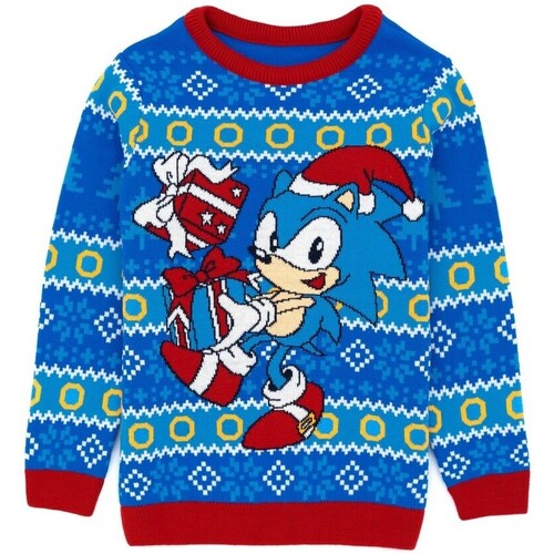 Vêtements Enfant Pulls Sonic The Hedgehog NS6924 Bleu