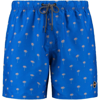 maillots de bain shiwi  short de bain palmiers bleu 