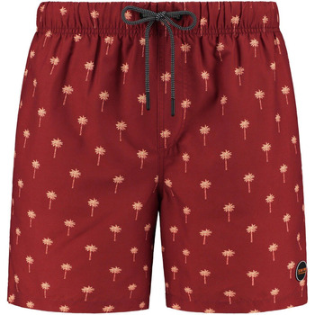maillots de bain shiwi  short de bain palmiers rouge 