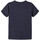 Vêtements Garçon T-shirts manches courtes Name it 13213736 Bleu