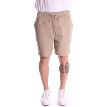 Vêtements Homme Cal Shorts / Bermudas Dickies DK0A4XB2 Beige