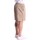 Vêtements Homme Shorts / Bermudas Dickies DK0A4XB2 Beige