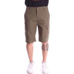 Vêtements Homme Jeans Shorts / Bermudas Dickies DK0A4XED Multicolore