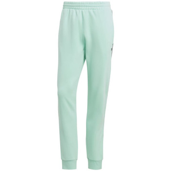 Vêtements Homme Pantalons de survêtement adidas tweede Originals Adicolor Seasonal Archive Pant / Vert Vert