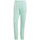Vêtements Homme Pantalons de survêtement adidas Originals Adicolor Seasonal Archive Pant / Vert Vert