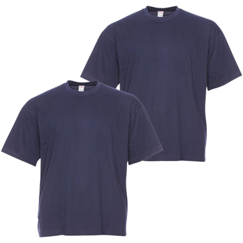 Vêtements Homme T-shirts & Polos Adamo Lot de 2 T-shirts coton Bleu marine