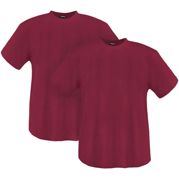 Vêtements Homme T-shirts & Polos Adamo Lot de 2 T-shirts coton Rouge