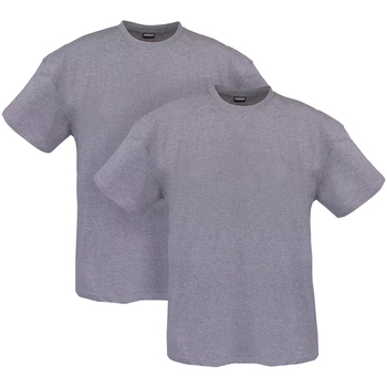 Vêtements Homme T-shirts & Polos Adamo Lot de 2 T-shirts coton Gris