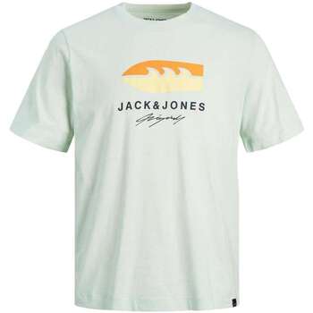 Vêtements Homme T-shirts manches courtes Jack & Jones 146818VTPE23 Bleu