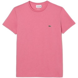 Vêtements Homme T-shirts & Polos Lacoste Pima Cotton T-Shirt - Rose Rose