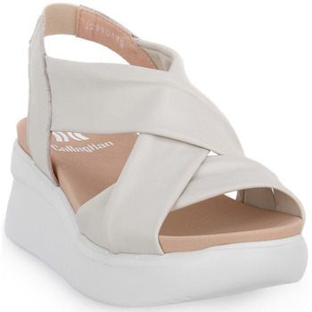 Chaussures Femme Sandales et Nu-pieds CallagHan ROMA OFF WHITELLANA Blanc