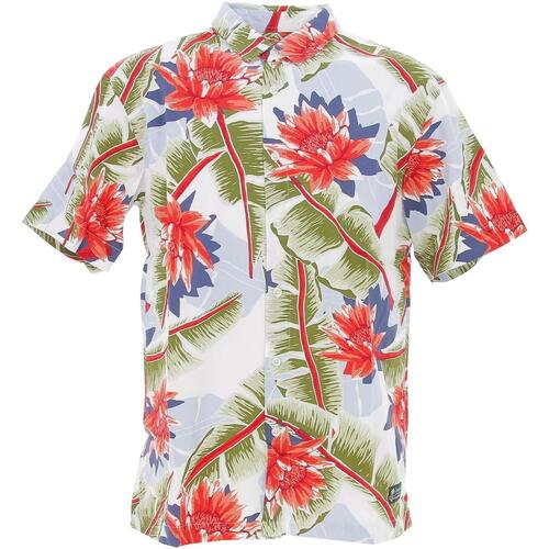 Vêtements Homme Chemises manches courtes Superdry Vintage hawaiian s/s shirt optic Blanc