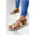 Chaussures Femme Sandales et Nu-pieds Mkd - Sandales GAVA Marron