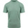 Vêtements Homme T-shirts & Polos Colorful Standard T-shirt Vert Clair Vert