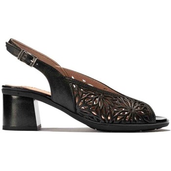 Chaussures Femme Escarpins Pitillos 5171 Noir