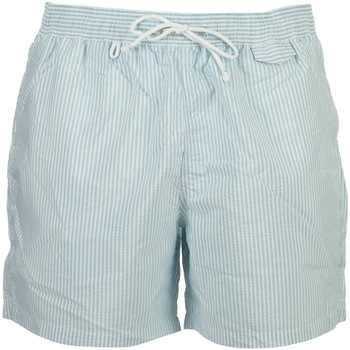 Vêtements Homme Maillots / Shorts de bain Cuisse De Grenouille Indien 01 Short Bleu