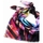 Accessoires textile Femme Echarpes / Etoles / Foulards Desigual FOU_BEACHTIME Multicolore