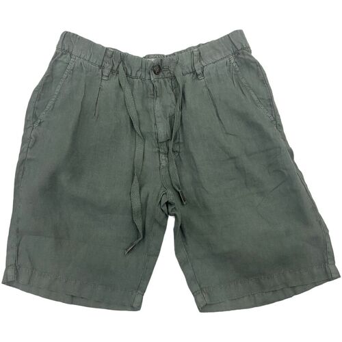 Vêtements Homme Shorts / Bermudas Alley Docks  Vert