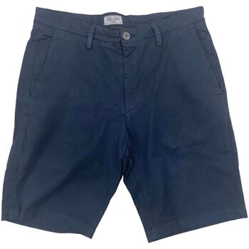 Vêtements Homme Shorts / Bermudas Alley Docks  Bleu