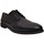 Chaussures Homme Derbies & Richelieu Stonefly 215953-6TN Bleu