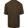 Vêtements Homme T-shirts & Polos Lyle And Scott T-shirt Vert Mid Vert