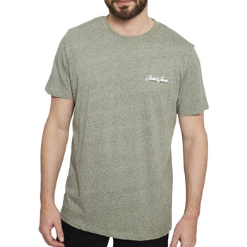 Vêtements Homme T-shirts manches courtes Jack & Jones 12207349 Vert