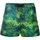 Vêtements Homme Shorts / Bermudas 4giveness FGBM2626 Multicolore