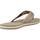 Chaussures Femme Tongs Tommy Hilfiger WEBBING Beige