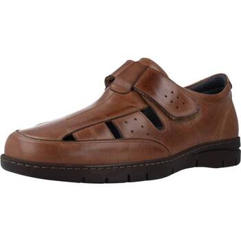 Chaussures Homme Moyen : 3 à 5cm Pitillos 4802P Marron