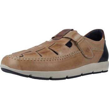 Chaussures Homme Rideaux / stores Pitillos 4832P Marron