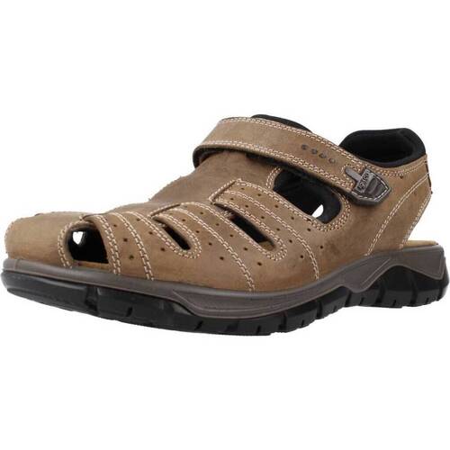 Chaussures Homme Sandales et Nu-pieds IgI&CO 3641222 Marron
