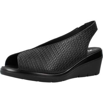 Chaussures Femme Sandales et Nu-pieds 24 Hrs 25656 Noir