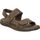 Chaussures Homme Sandales et Nu-pieds Walk & Fly 680-43770 Marron
