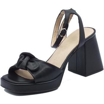 Chaussures Femme Petit : 1 à 2cm Wonders M-5301 Sauvag Noir