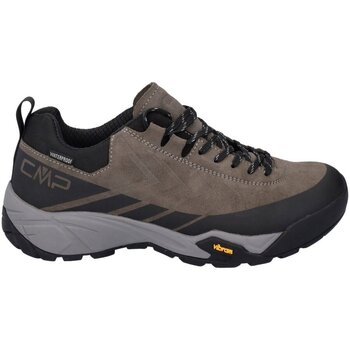 Chaussures Homme Airstep / A.S.98 Cmp  Marron
