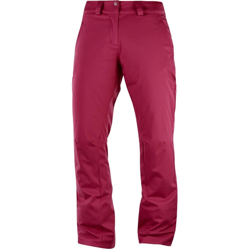 Vêtements Femme Pantalons de survêtement Salomon STORMPUNH PANT W BEE Multicolore