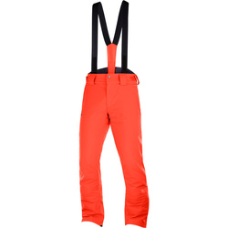 Vêtements Homme Pantalons de survêtement Salomon STORMSEASON PANT CHERRY Multicolore