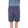 Vêtements Homme Shorts / Bermudas Dickies DK0A4XES Bleu