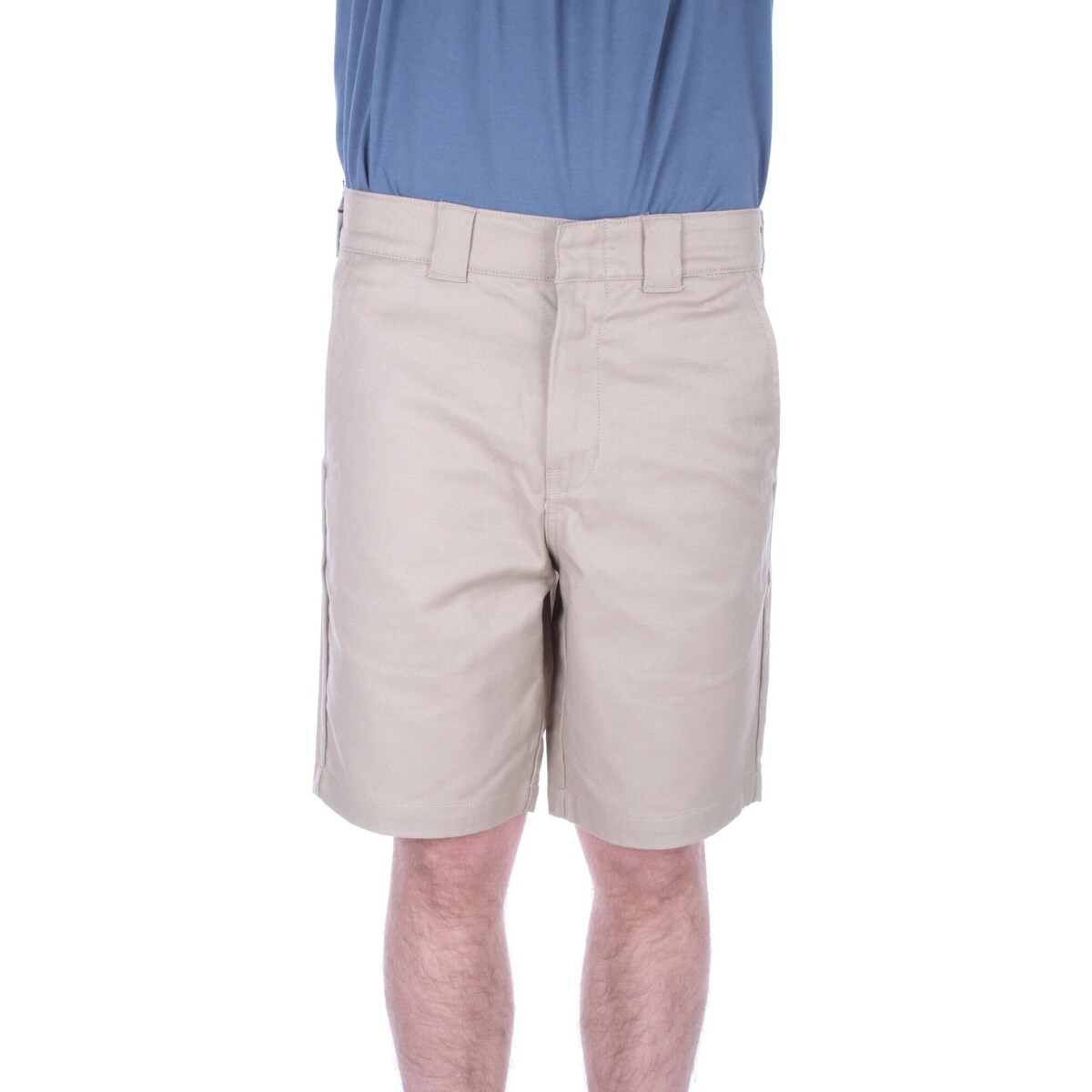 Vêtements Homme Shorts / Bermudas Dickies DK0A4XES Vert