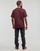 Vêtements Homme T-shirts manches courtes Levi's SS POCKET TEE RLX Marron