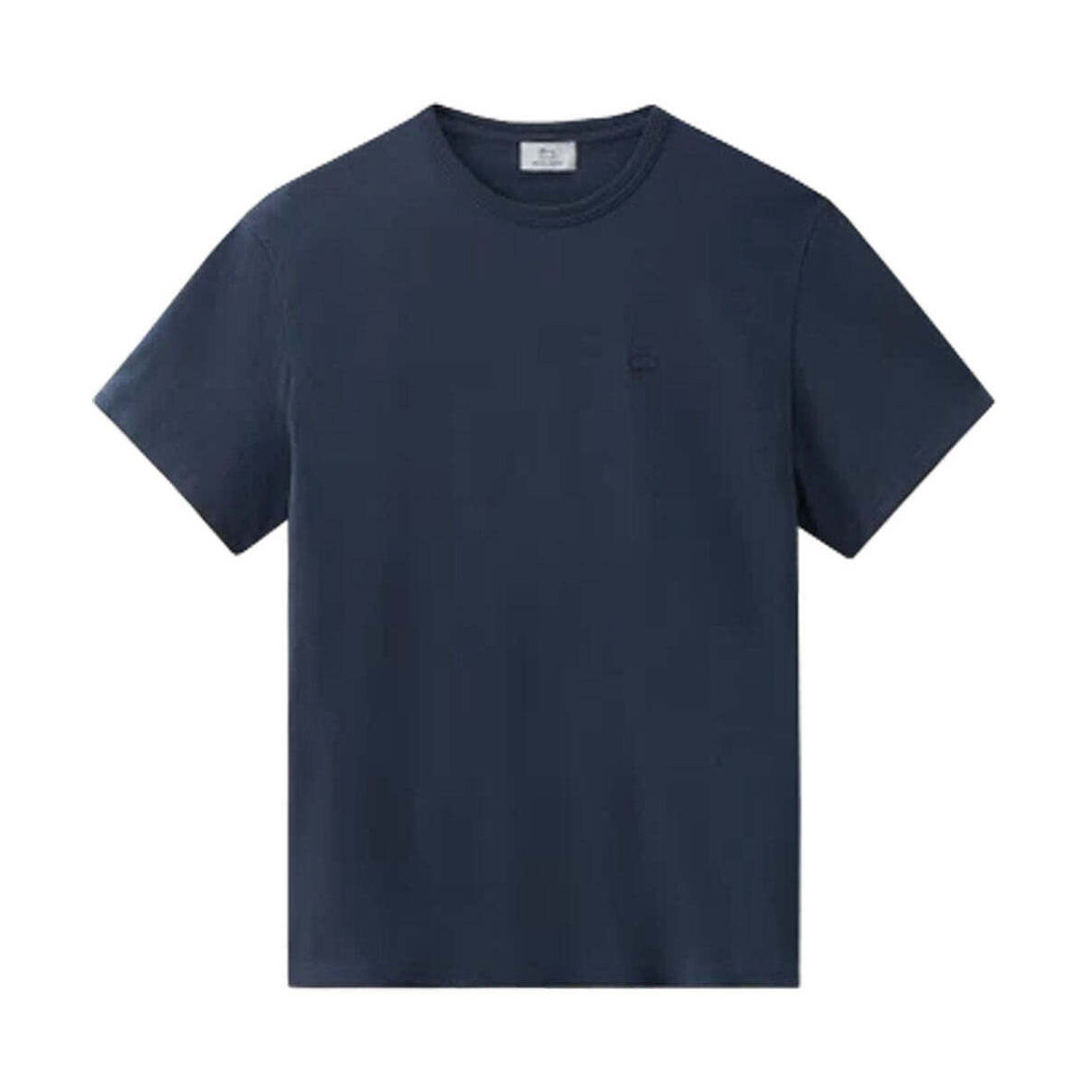 Vêtements Homme T-shirts & Polos Woolrich  Bleu