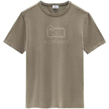 Vêtements Homme T-shirts & Polos Woolrich  Beige