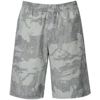 Vêtements Homme Shorts / Bermudas Diesel P-Ferg Gris