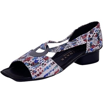 Chaussures Femme Sandales et Nu-pieds Brunate  Multicolore